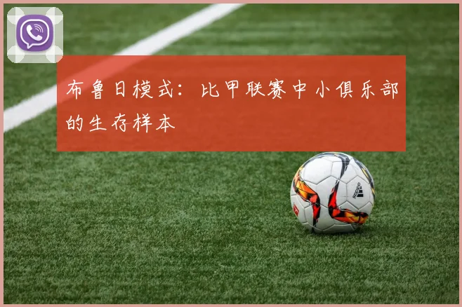 布鲁日模式：比甲联赛中小俱乐部的生存样本