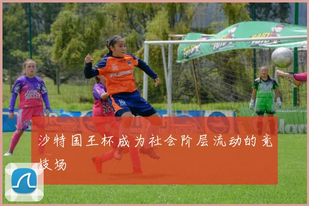 沙特国王杯成为社会阶层流动的竞技场