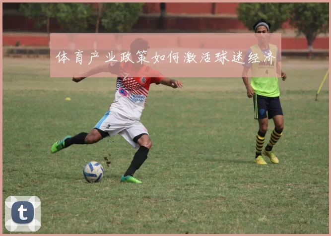 体育产业政策如何激活球迷经济