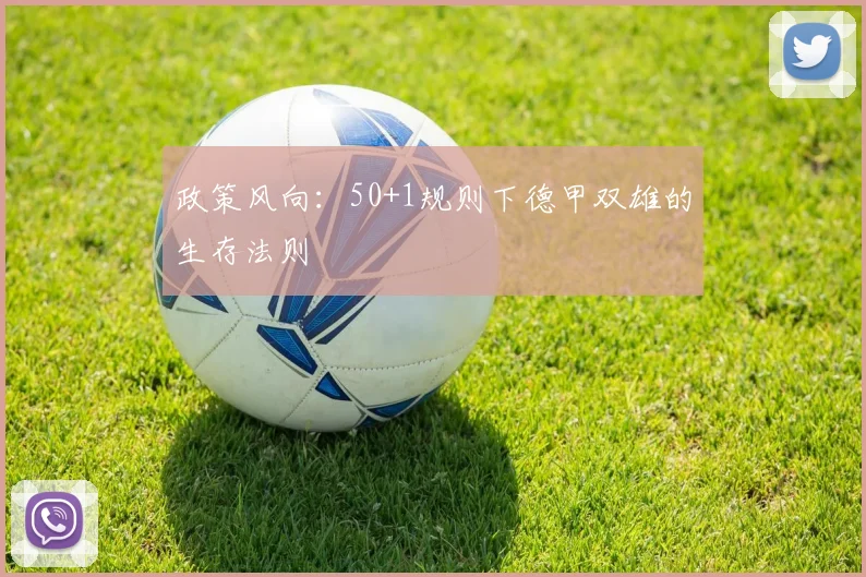 政策风向：50+1规则下德甲双雄的生存法则