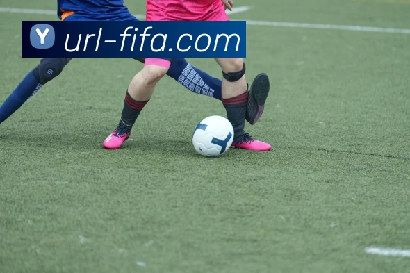 世界杯FIFAAPP 封面图